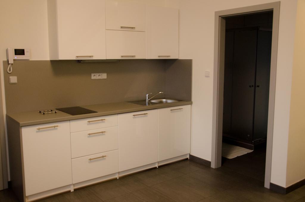 Apartment Lidicka Slavkov, 4 Person Slavkov u Brna Εξωτερικό φωτογραφία